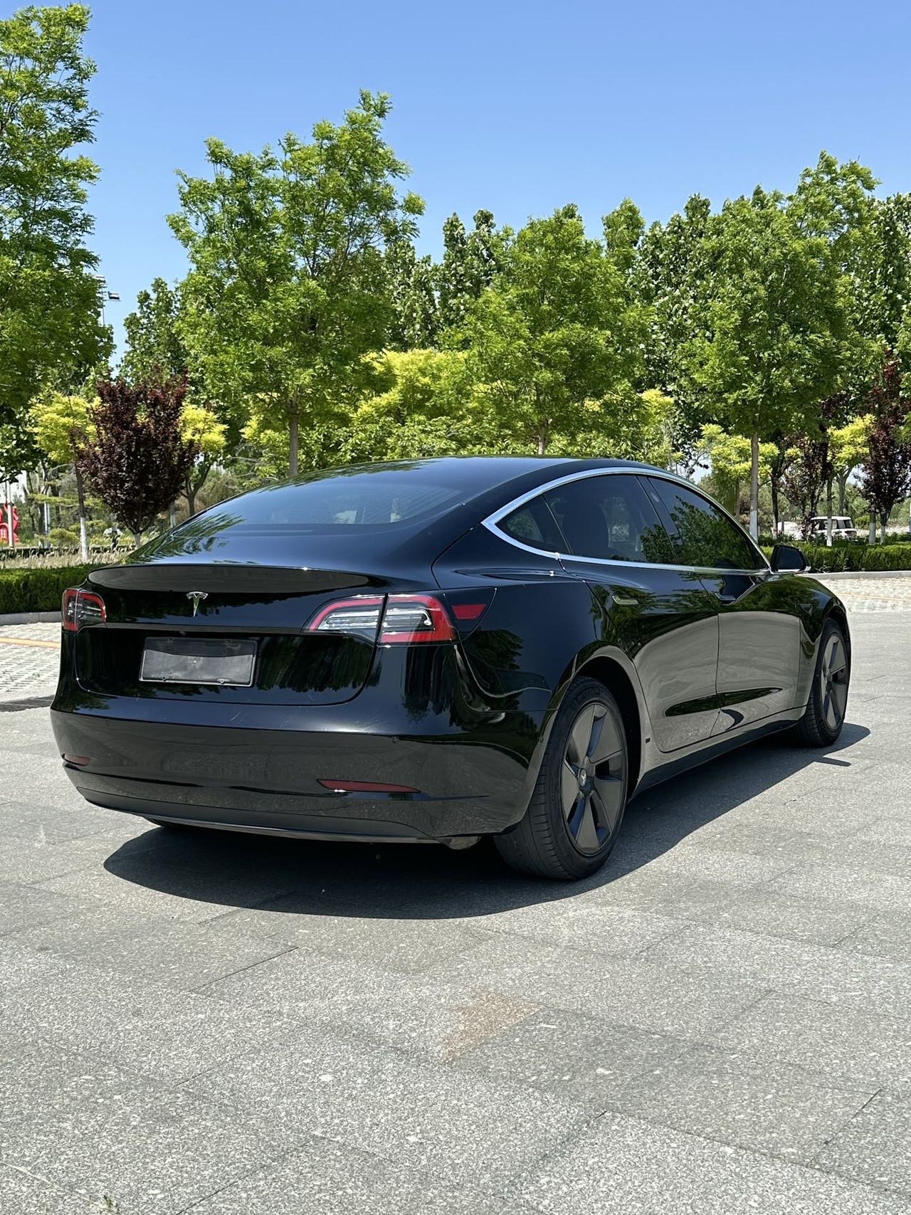 Tesla Model 3 2020 #4 Tesla Model 3 2020 car image #4