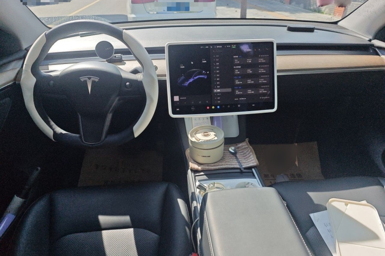 Tesla Model Y 2021 #12 Tesla Model Y 2021 car image #12