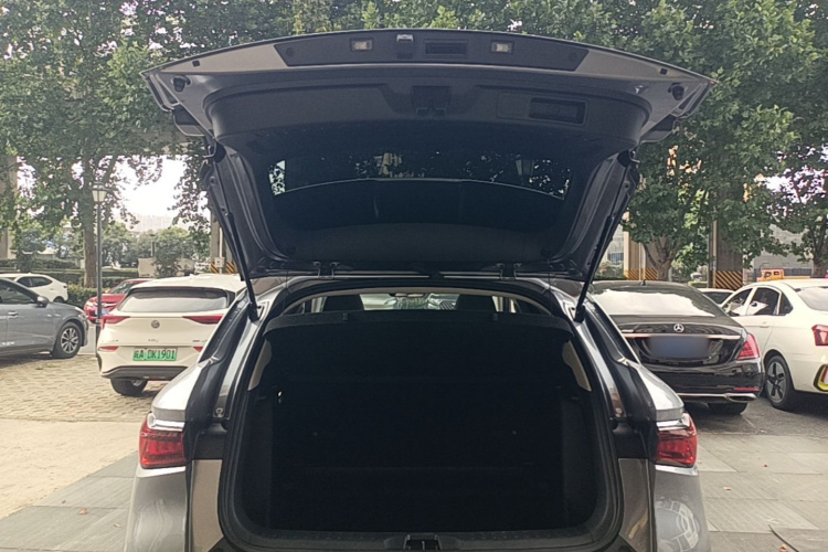 BYD Yuan Plus 2023 car image #19