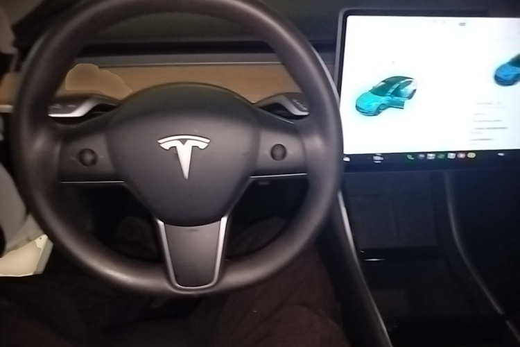 Tesla Model 3 2020 #10 Tesla Model 3 2020 car image #10