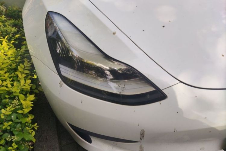 Tesla Model 3 2020 car image #4