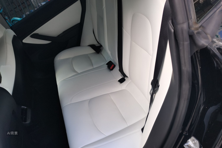 Tesla Model 3 2020 #19 Tesla Model 3 2020 car image #19