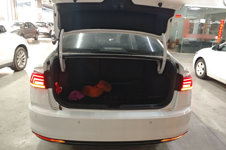 Volkswagen Bora 2019 imagen de coche #21