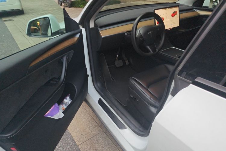 Tesla Model Y 2022 car image #9