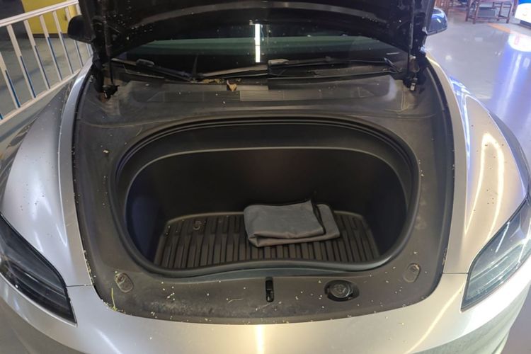 Tesla Model 3 2024 immagine di auto #20