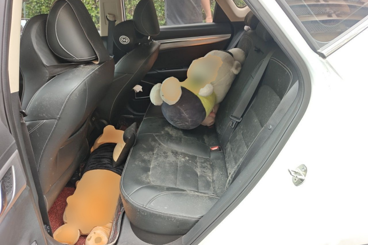 GEELY Emgrand GS 2019 car image #10