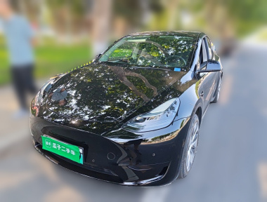 Tesla Model Y 2023 Tesla Model Y 2023 car image