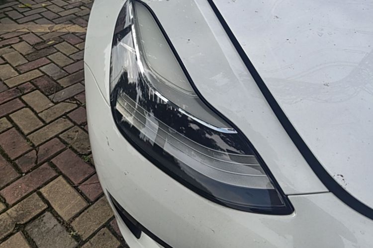 Tesla Model 3 2019 #8 Tesla Model 3 2019 car image #8