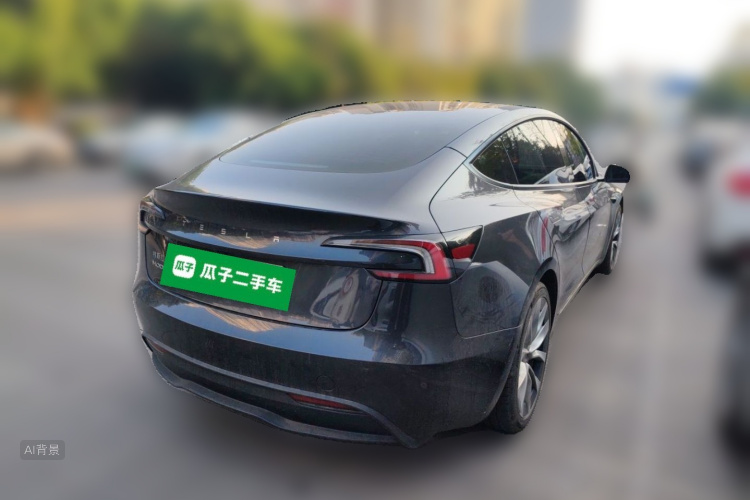 Tesla Model 3 2024 car image #7
