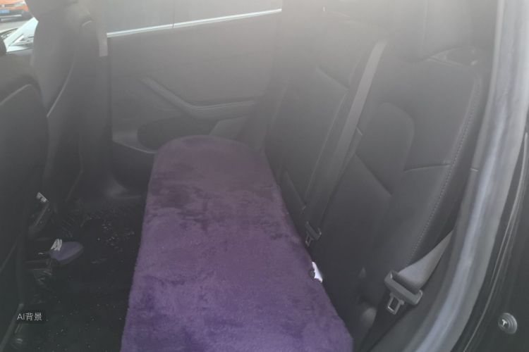 Tesla Model Y 2023 #19 Tesla Model Y 2023 car image #19