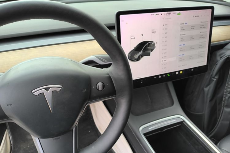 Tesla Model 3 2021 car image #14