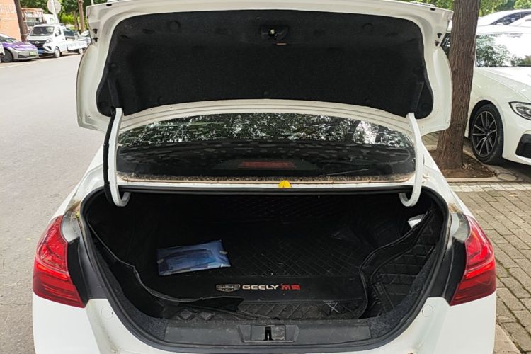 GEELY Emgrand 2019 car image #19