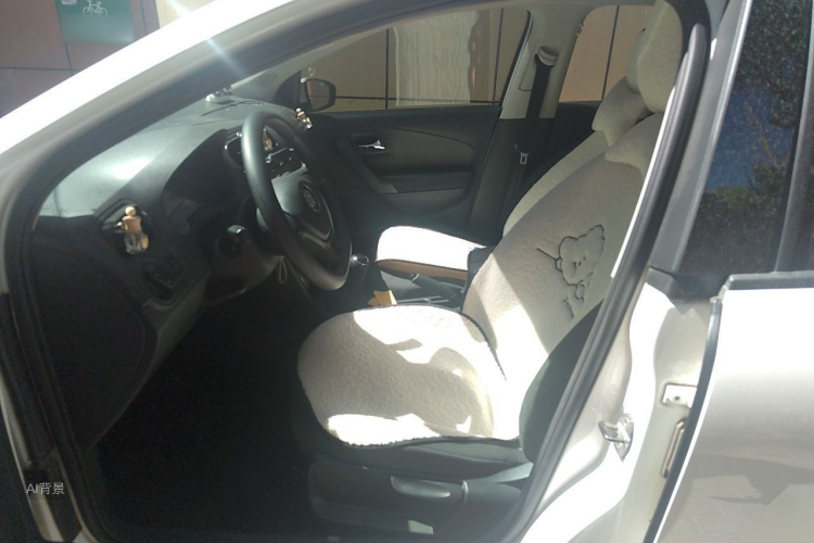 Volkswagen Polo 2016 car image #17