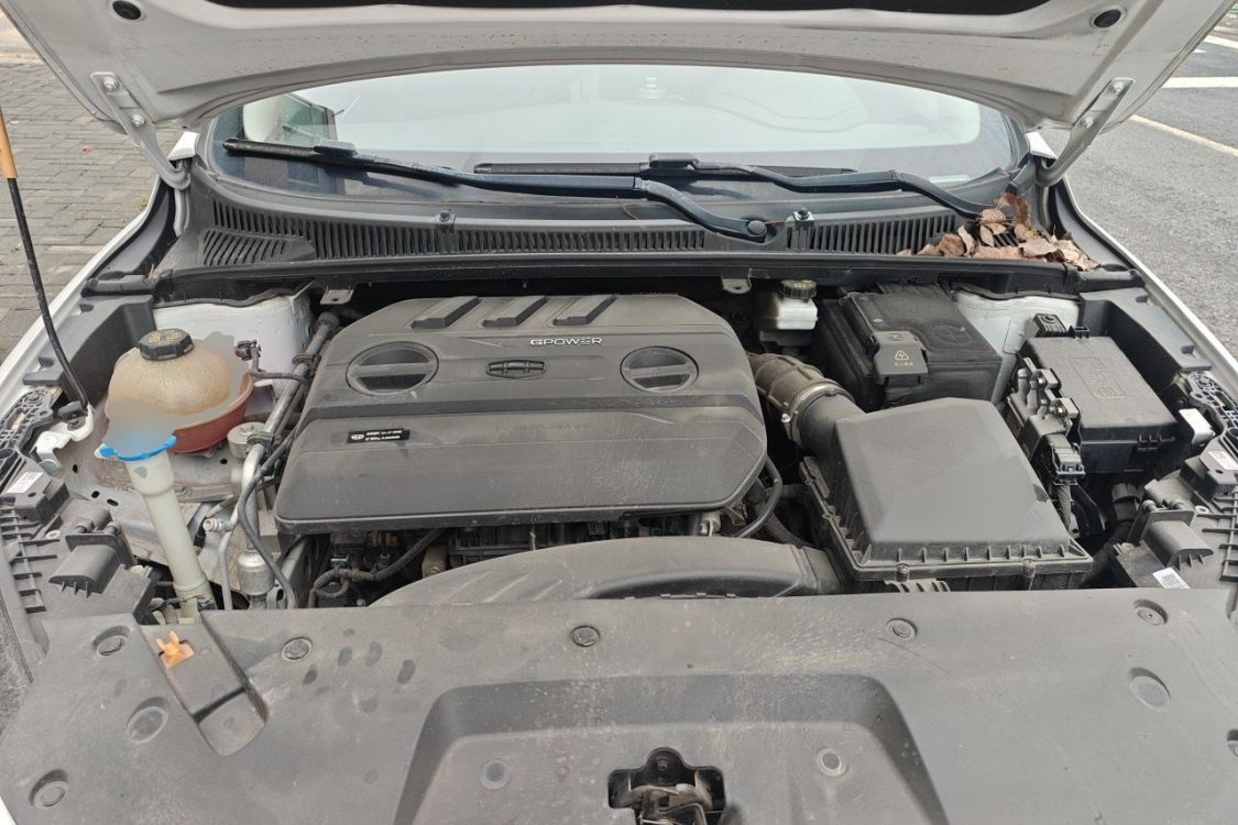 GEELY Binray 2020 #10 GEELY Binray 2020 صورة سيارة #10
