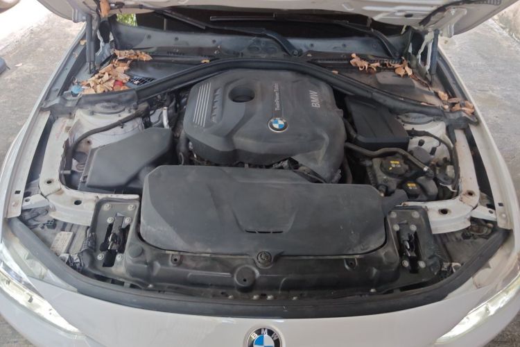 BMW 3 Series 2017 #22 BMW 3 Series 2017 car image #22