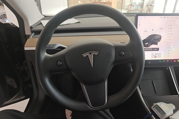Tesla Model 3 2020 car image #11