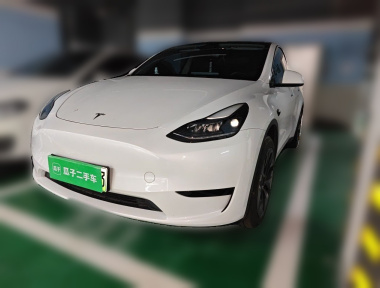 Tesla Model Y 2024 Tesla Model Y 2024 car image