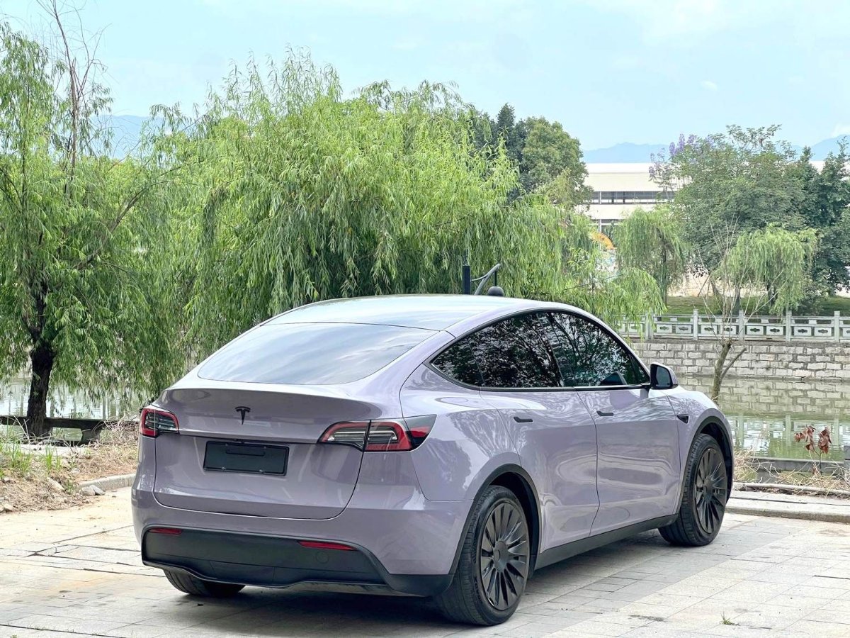 Tesla Model Y 2022 car image #4