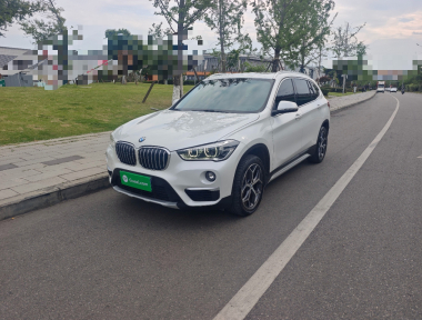 BMW X1 2019 BMW X1 2019 car image