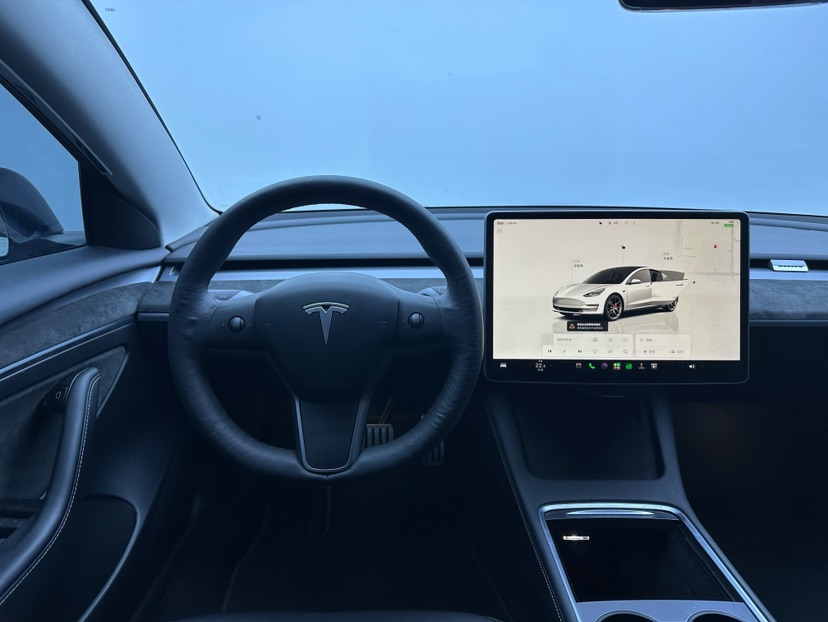 Tesla Model 3 2022 #3 Tesla Model 3 2022 car image #3