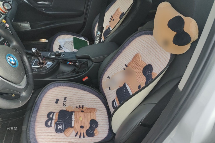BMW 3 Series 2016 #17 BMW 3 Series 2016 car image #17