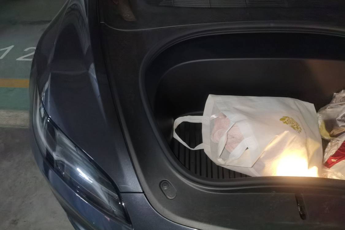 Tesla Model 3 2025 car image #11