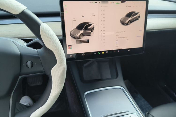 Tesla Model Y 2022 #10 Tesla Model Y 2022 car image #10
