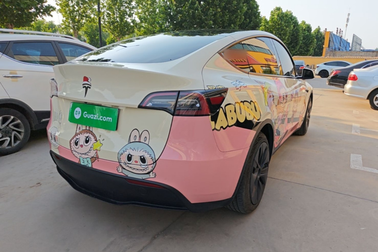 Tesla Model Y 2021 car image #7