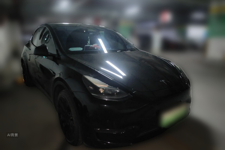 Tesla Model Y 2021 car image #4