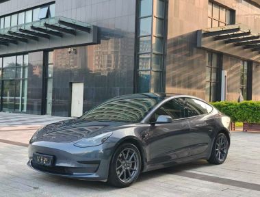 Tesla Model 3 2021 car image 