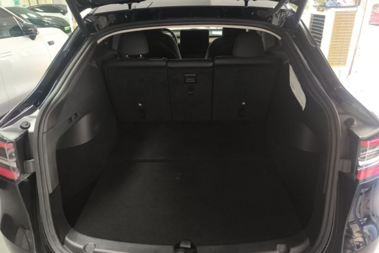 Tesla Model Y 2021 car image #19