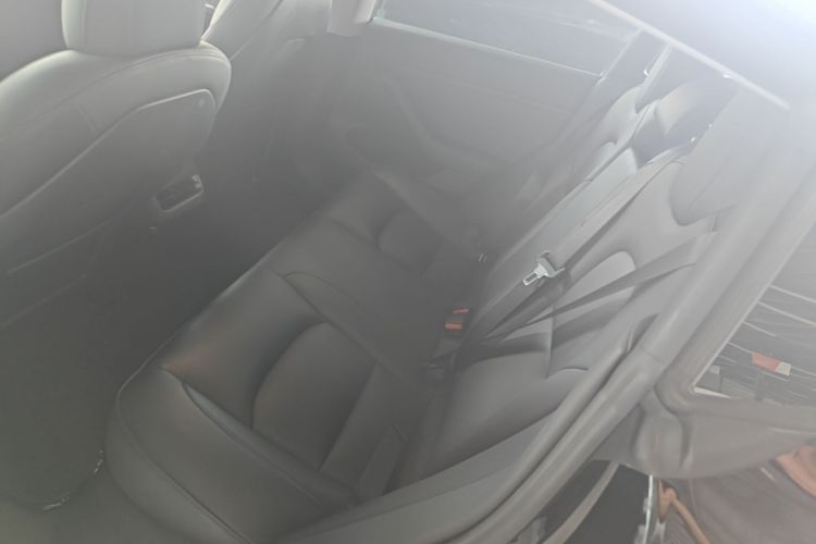 Tesla Model 3 2021 #13 Tesla Model 3 2021 immagine di auto #13