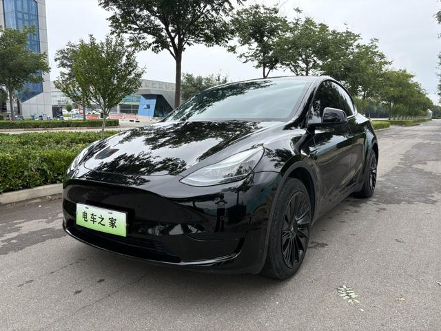 Tesla Model Y 2024 car image #16
