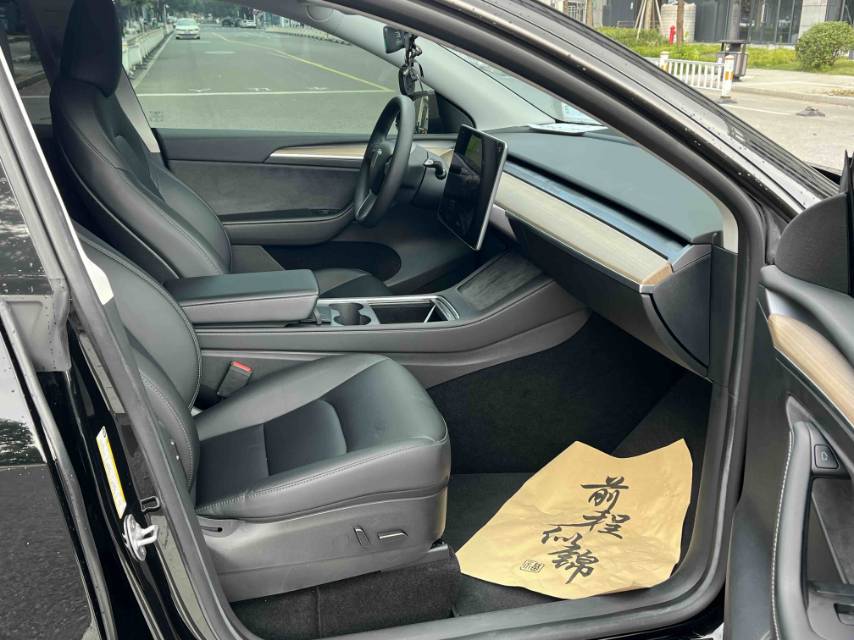 Tesla Model Y 2023 car image #10