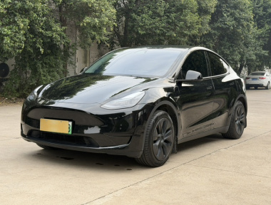 Tesla Model Y 2023 Tesla Model Y 2023 car image