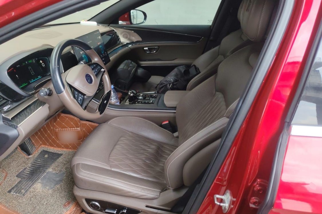 BYD Han 2020 #18 BYD Han 2020 immagine di auto #18