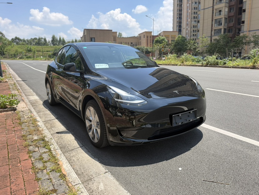 Tesla Model Y 2023 car image 