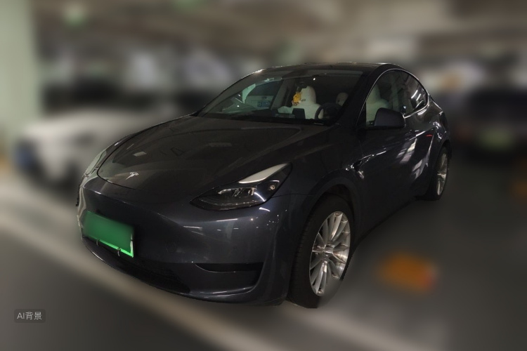 Tesla Model Y 2022 car image #2