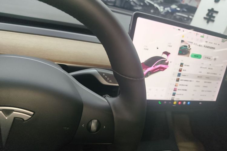 Tesla Model 3 2021 car image #20