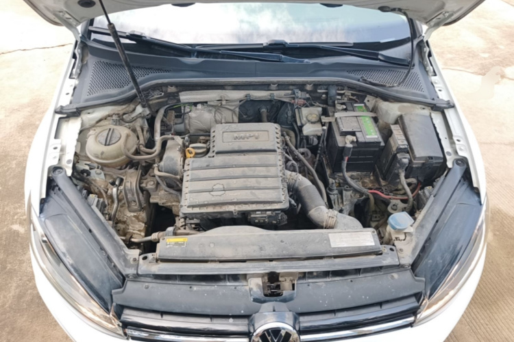 Volkswagen Golf 2018 car image #20