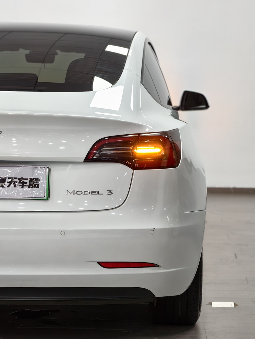 Tesla Model 3 2021 car image #5