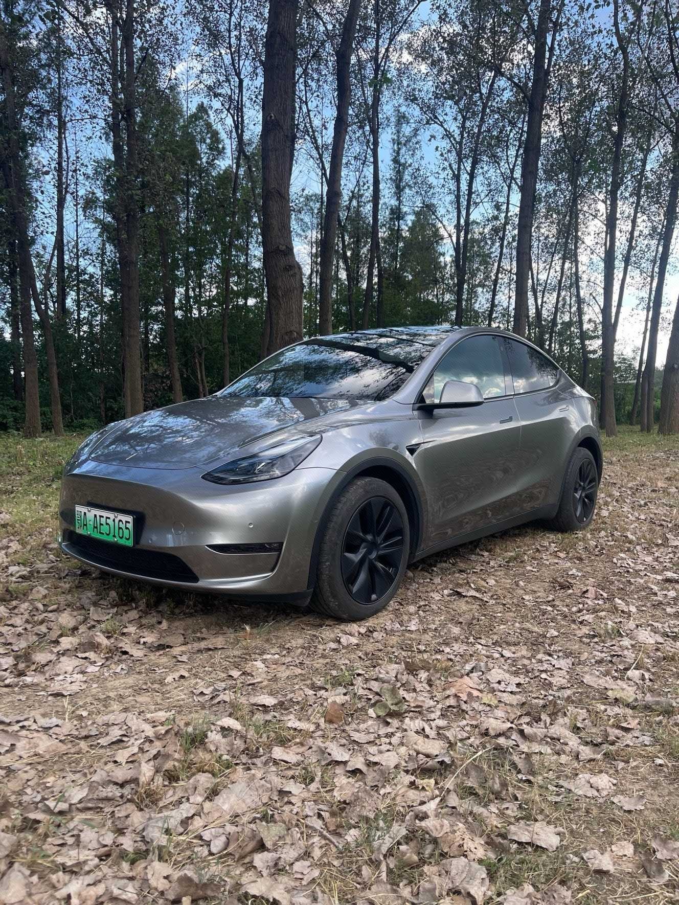 Tesla Model Y 2023 Tesla Model Y 2023 car image