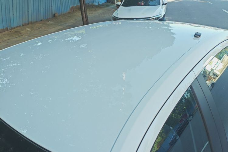 Volkswagen Lavida 2022 car image #25