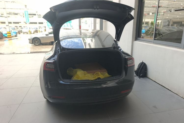 Tesla Model 3 2021 car image #21