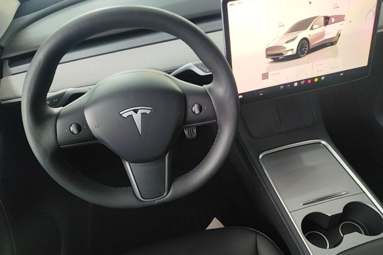 Tesla Model Y 2024 car image #14