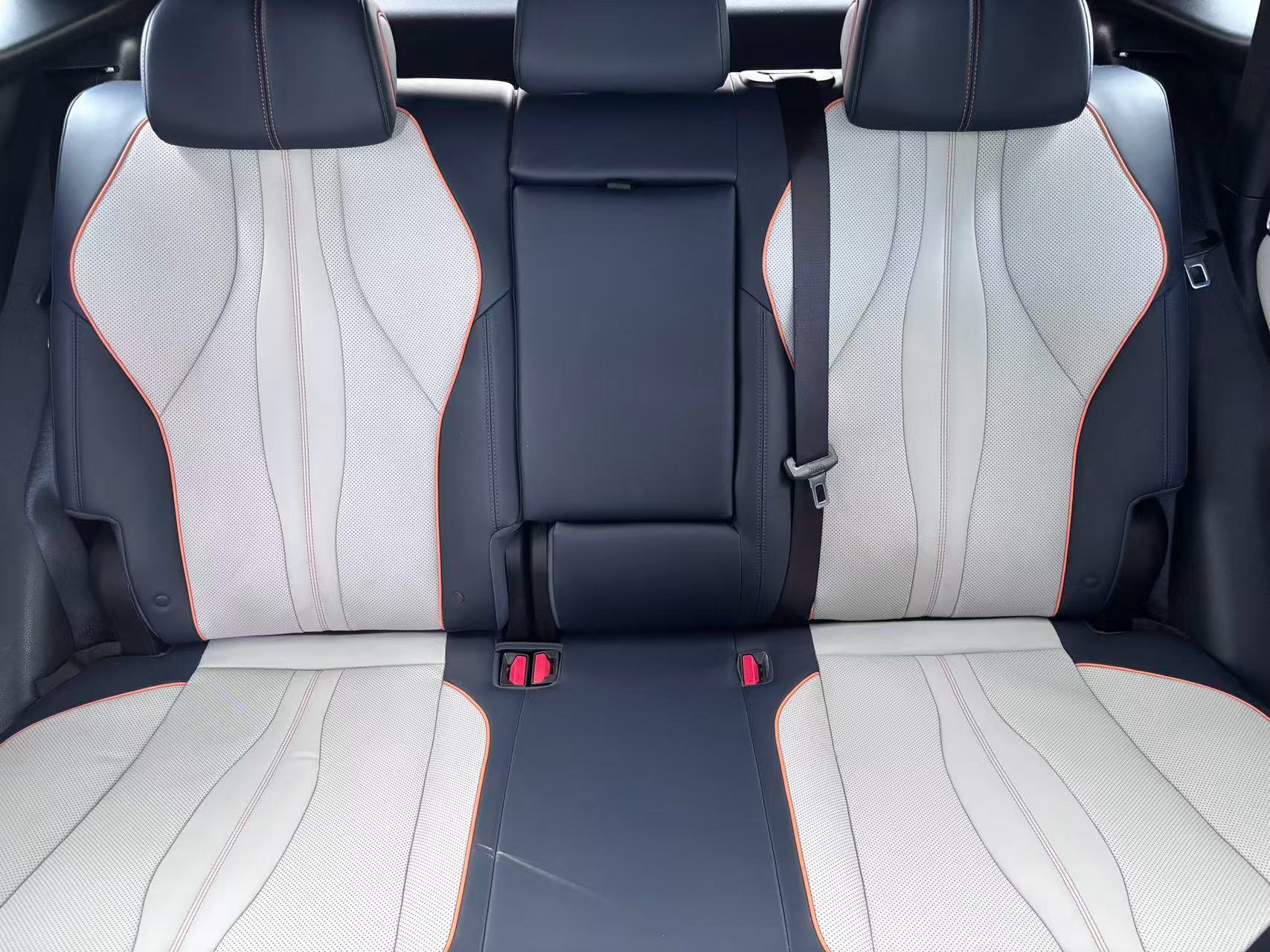 BYD Song Plus New Energy 2023 imagen de coche #9
