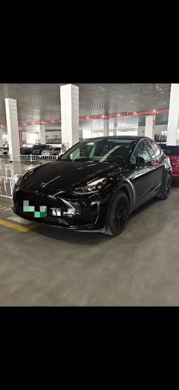 Tesla Model Y 2022 Tesla Model Y 2022 car image