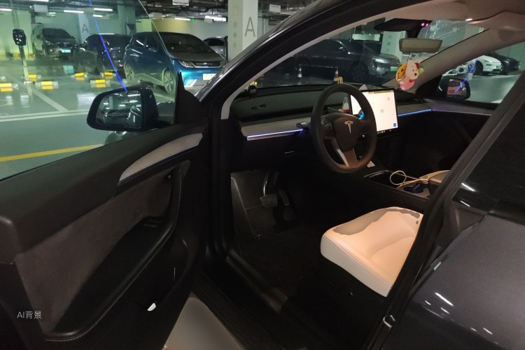 Tesla Model Y 2022 car image #18