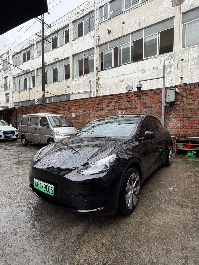 Tesla Model Y 2023 Tesla Model Y 2023 car image