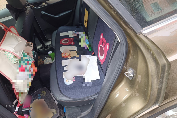 Audi Q3 2017 car image #19